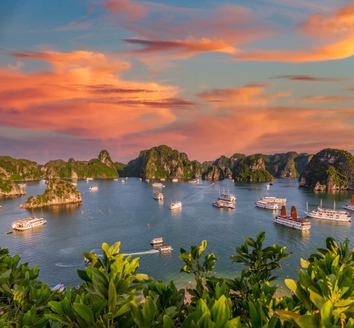 2-Day Ha Noi - Ninh Binh - Ha Long Bay Highlights Tour - Day 2: Tuan Chau to Sung Sot Cave, Luon Kayaking, and Titop Island