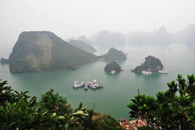 Best Halong 5 star Day Trip, inclusive,buffet,cave,kayak,transfer - Key highlights