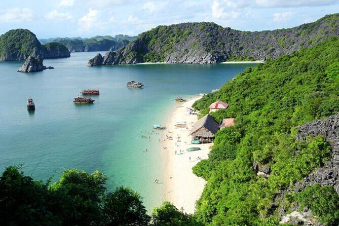 Halong Bay 2Days/1Night on 5 Star Cruise all included - Day 2 on Cat Ba: Tai Chi, Morning Tea, and the Best Light