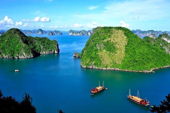 Halong Bay Day Tour With Titop Island, Cave, Kayak & Lunch - Lunch on the cruise: seafood focus, with a real vegetarian option