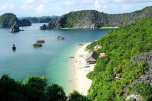 Orchid Cruise Halong Bay 3Days 2Night on 5 Star Cruise - Getting from Hanoi to the cruise: Old Quarter pickup to the bay